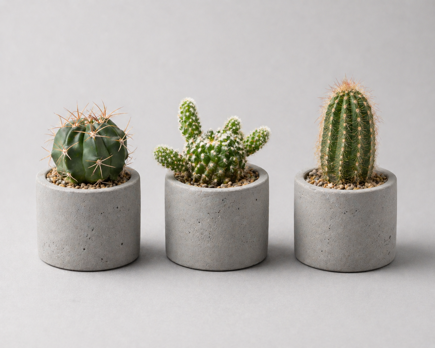 Mini Kaktüs Trio Set